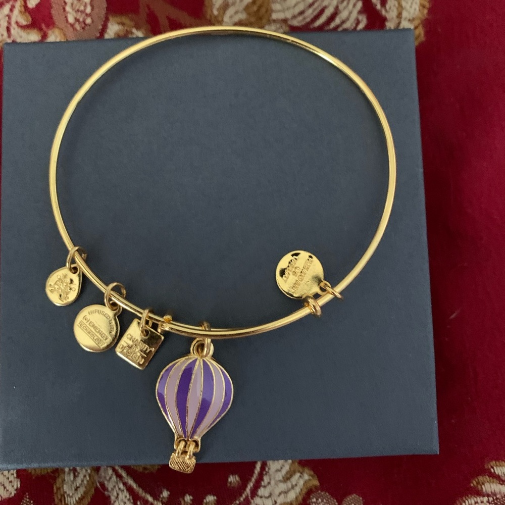 Lot of 3 Alex and Ani Charm Bracelets